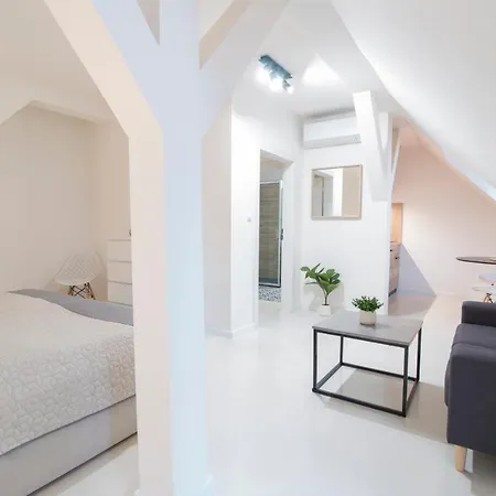 Jungmann U Zlaté Hvězdy Apartmán